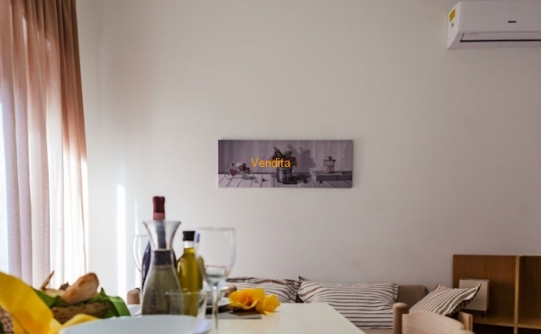 APPARTAMENTO SEMICENTRALE CON POSTO AUTO